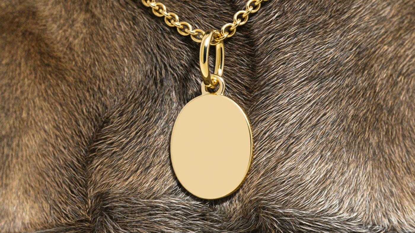 A blank gold pet ID pendant on a fine chain