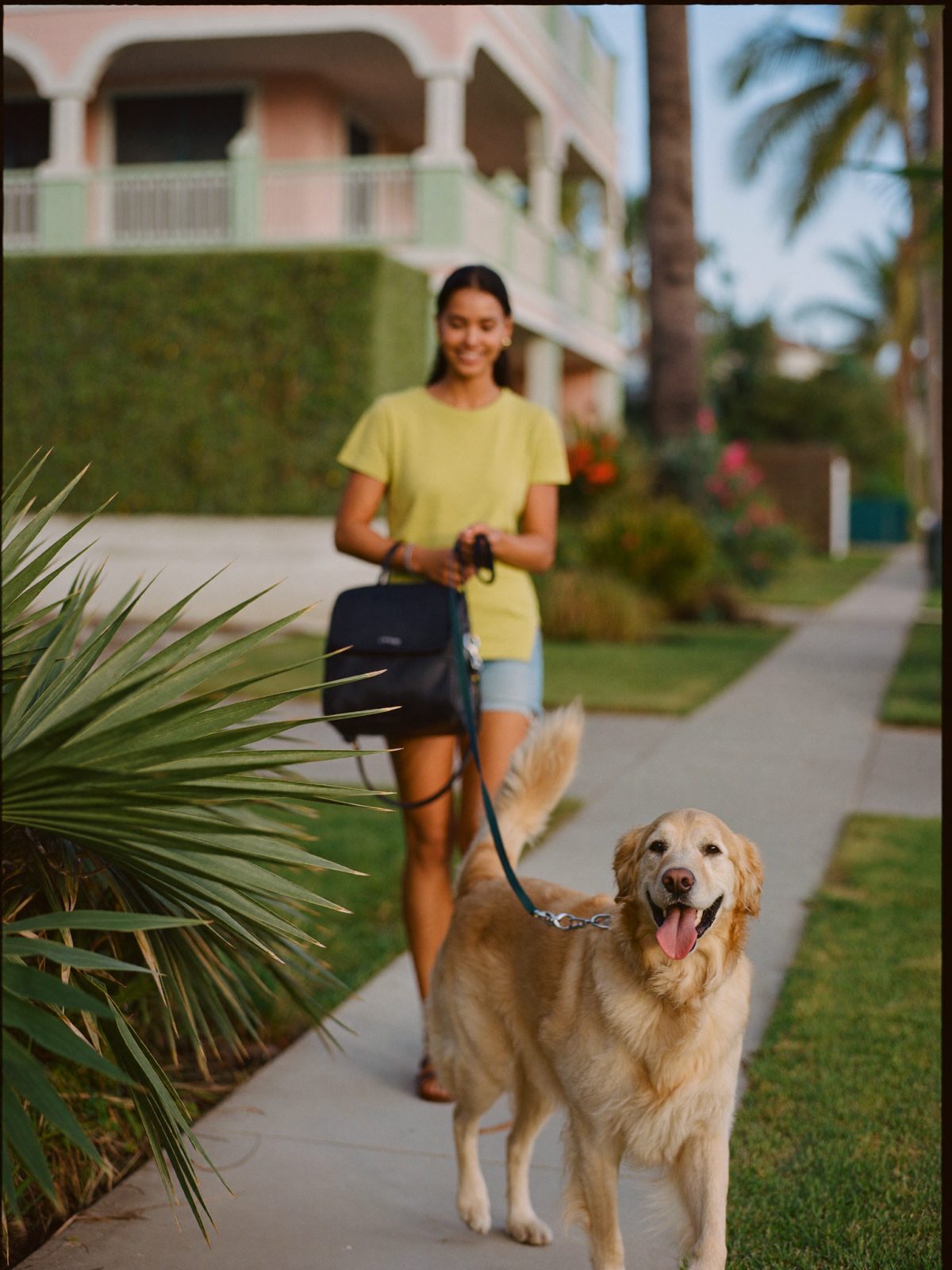 A dogoboca sitter walking a happy golden retriever along a palm-lined street in Boca Raton
