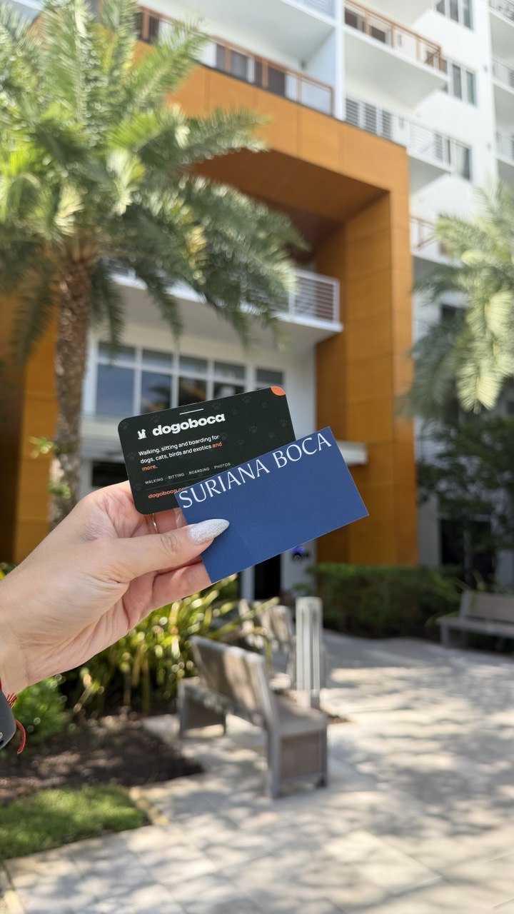 A dogoboca card photographed at Suriana Boca
