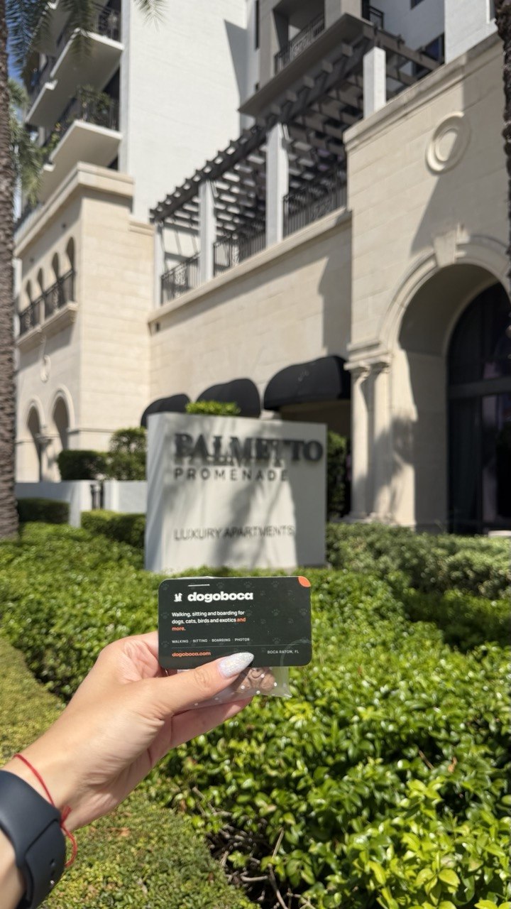 A dogoboca card photographed at Palmetto Promenade