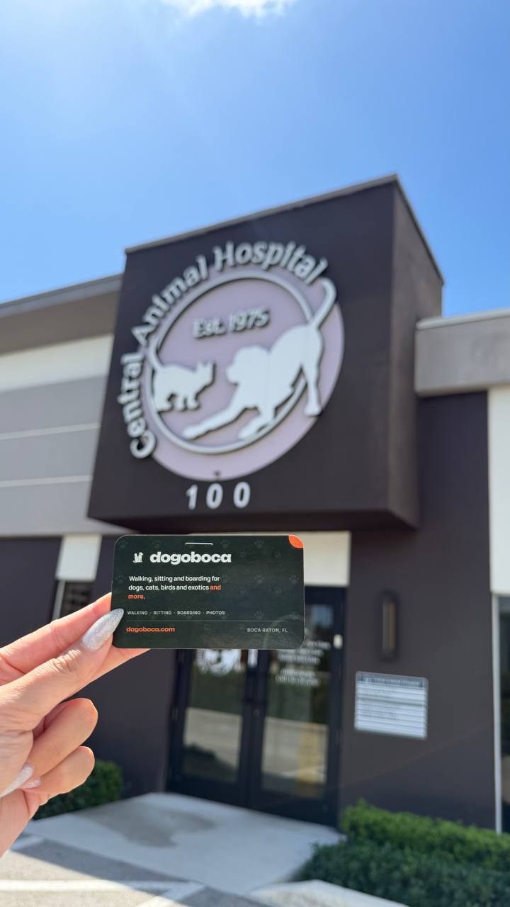 A dogoboca card photographed at Central Animal Hospital