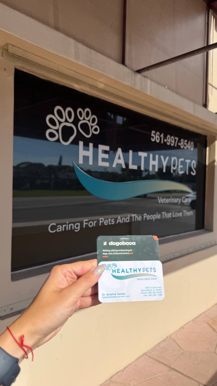 A dogoboca card photographed at Healthy Pets Boca North