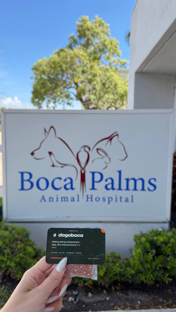 A dogoboca card photographed at Boca Palms Animal Hospital