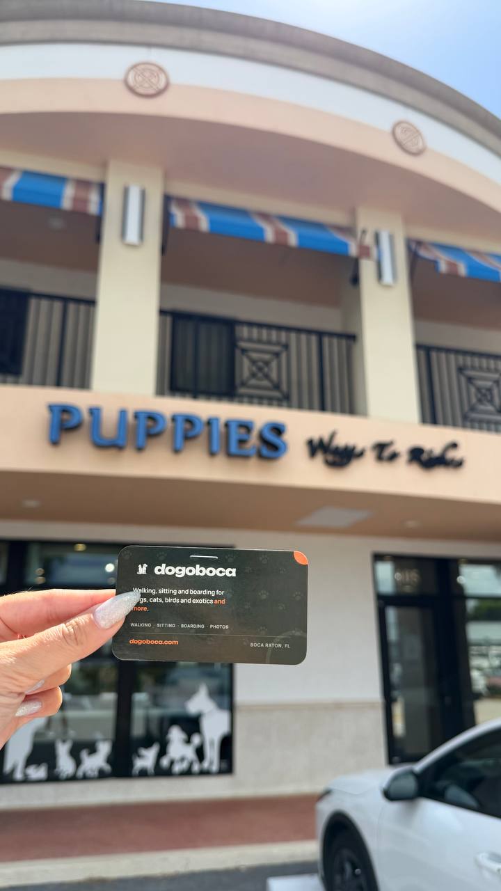 A dogoboca card photographed at Waggs To Riches Pet Boutique